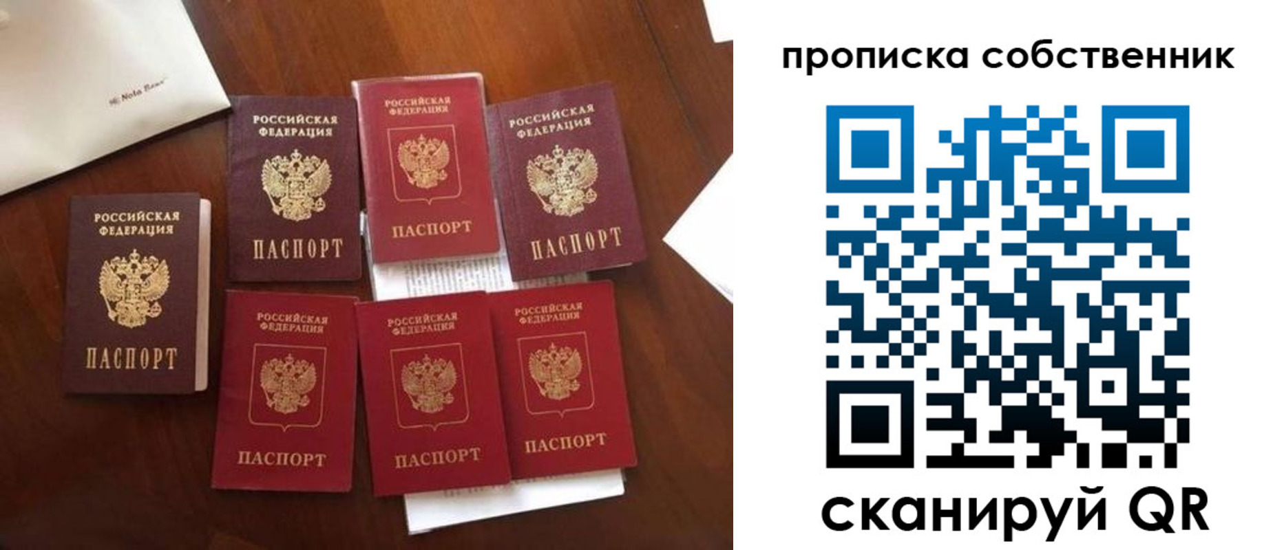 прописка для школы в Новосибирской области