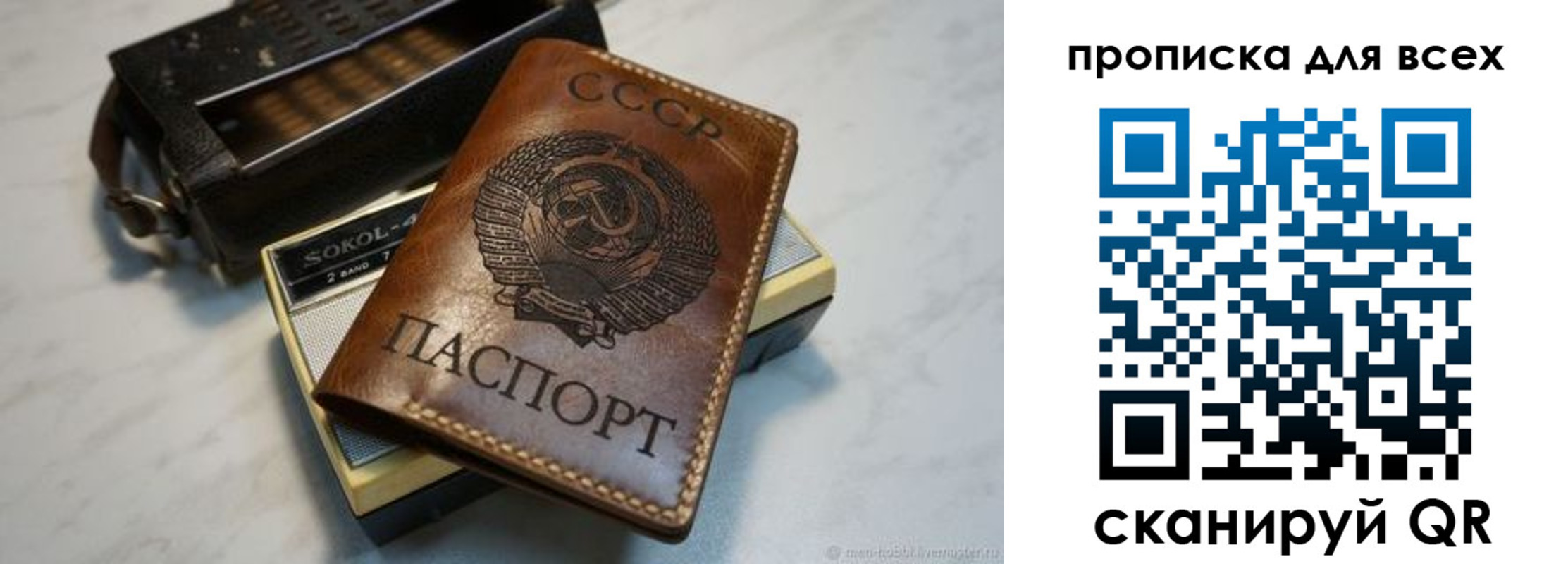 прописка в квартире в Новосибирской области